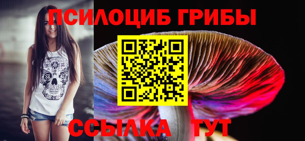 Галлюциногенные грибы Magic Shrooms Будённовск