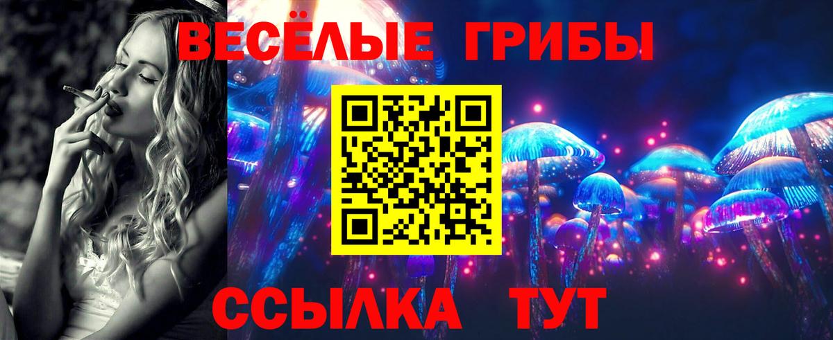 Псилоцибиновые грибы Psilocybine cubensis  Вход с VPN  Будённовск 